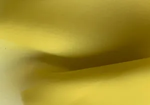 Crisp Finch Yellow Silk Satin Organza (Made in Italy)