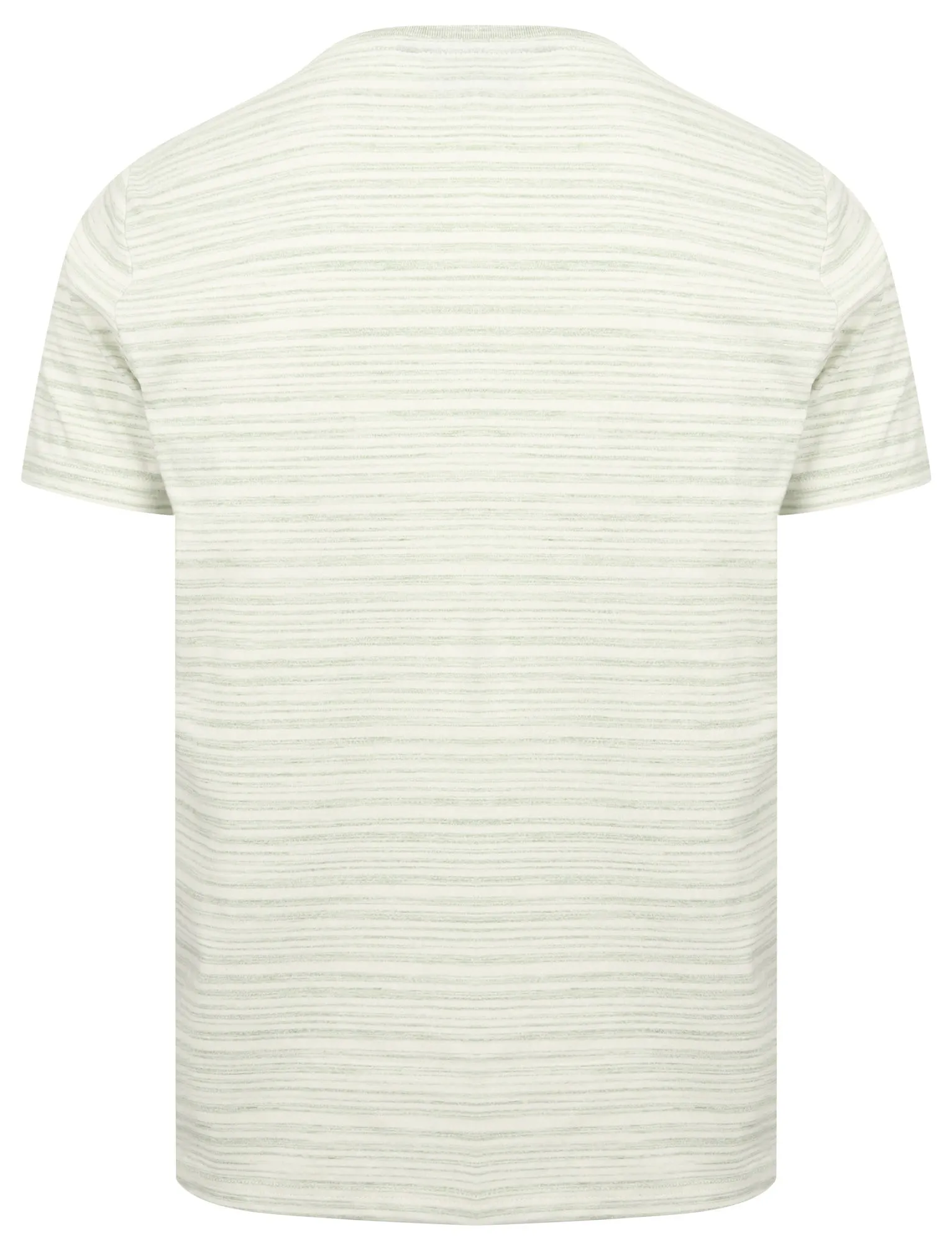 Drop Striped Cotton Jersey T-Shirt with Parrot Motif In Green - South Shore