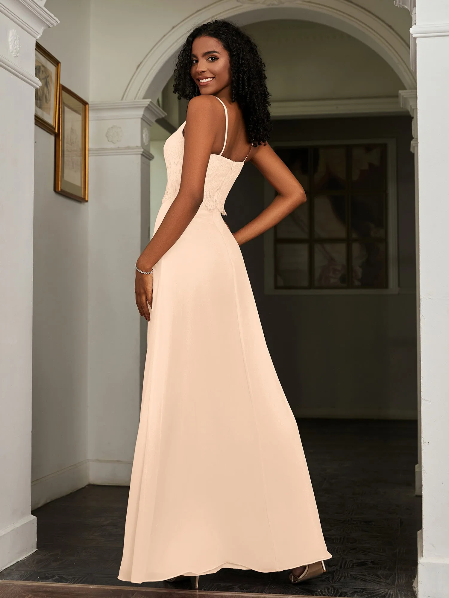 Lace Appliqued  Backless Chiffon A-Line Dress Peach Plus Size